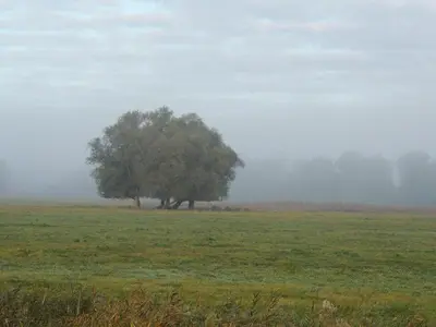 Naturlandschaft in der Nähe der Ferienwohnung