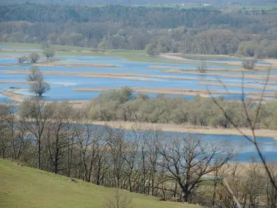 Naturlandschaft in der Nähe der Ferienwohnung