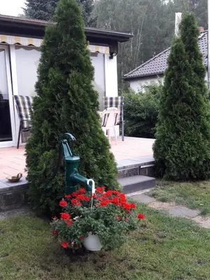 Ein Garten an der Unterkunft Ferienhaus am Birkenwaeldchen - Motzener See 150m