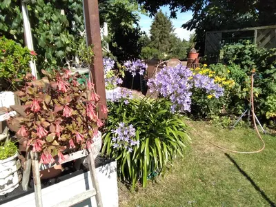 Ein Garten an der Unterkunft Gartenhaus