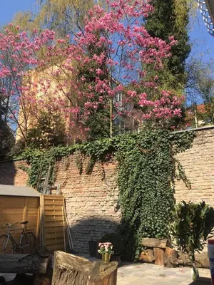 Ein Garten an der Unterkunft Beautiful and Cozy Remise for up to 6 Guests