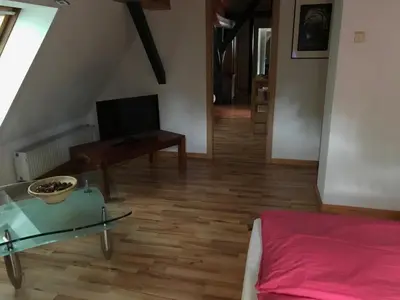 TV/Unterhaltungsangebot in der Unterkunft Kunsthaus Kurgan