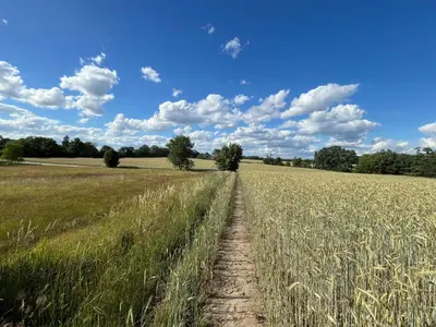 Naturlandschaft in der Nähe der Ferienwohnung