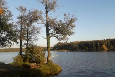 Naturlandschaft in der Nähe der Ferienwohnung