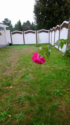 Ein Garten an der Unterkunft Ferienhaus Saremba