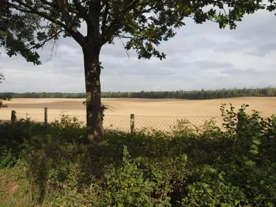 Naturlandschaft in der Nähe des Ferienhauses