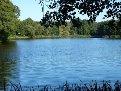 Naturlandschaft in der Nähe des Ferienhauses