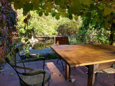 Ein Garten an der Unterkunft Große Wohnung / Haushälfte in Peetzig am See