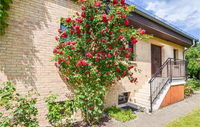 Ein Garten an der Unterkunft Gorgeous Apartment In Berlin-Bohnsdorf