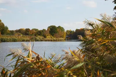 Naturlandschaft in der Nähe der Ferienwohnung