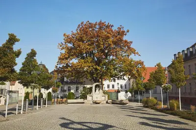 Grundriss der Unterkunft Altstadtloft Teltow