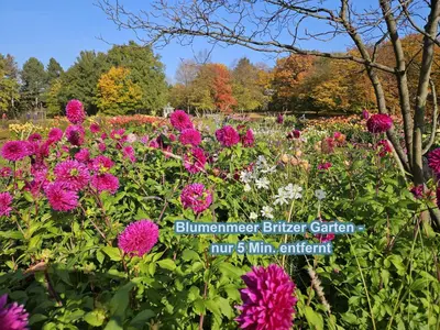 Ein Garten an der Unterkunft 4 Sterne Souterrain Apartment Alt-Mariendorf