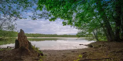 Naturlandschaft in der Nähe des Privatzimmers