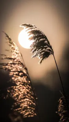 Blick auf den Sonnenuntergang/Sonnenaufgang von des Privatzimmers aus oder aus der Nähe