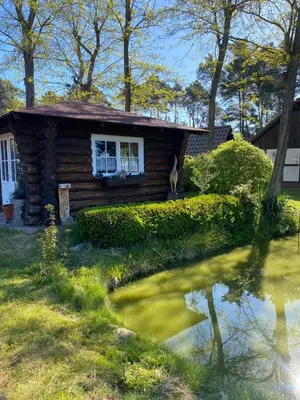 Ein Garten an der Unterkunft Pension Haus zum See GbR
