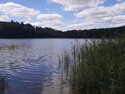 Naturlandschaft in der Nähe des Ferienhauses