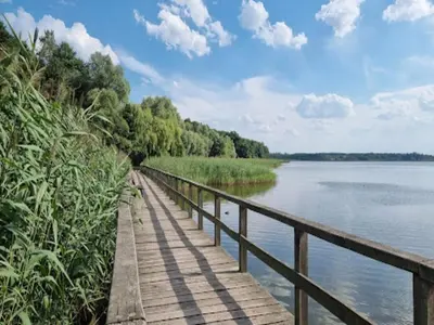 Naturlandschaft in der Nähe des Ferienhauses