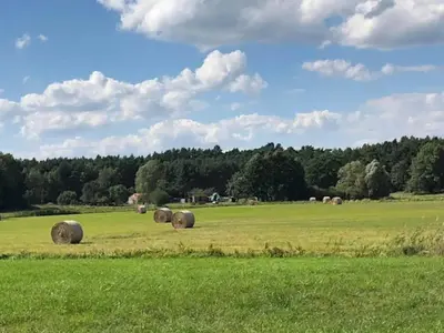 Naturlandschaft in der Nähe des Ferienhauses