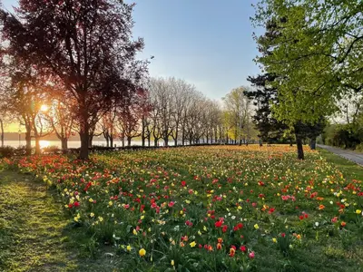 Ein Garten an der Unterkunft Hotel am Borsigturm