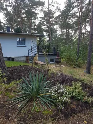 Ein Garten an der Unterkunft HausMeise