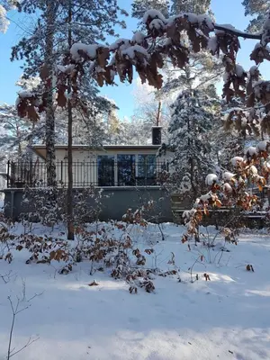 HausMeise im Winter