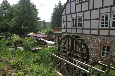 Ein Garten an der Unterkunft Hotel Boltenmühle