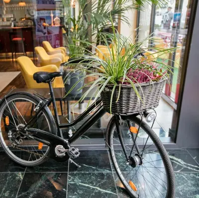 Radfahren an der Unterkunft ARCOTEL Velvet Berlin oder in der Nähe
