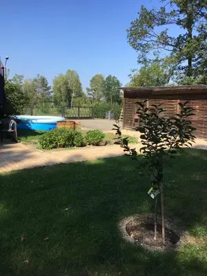 Der Swimmingpool an oder in der Nähe von Helles Doppelzimmer im Untergeschoss mit Bad im Grünen nahe Potsdam