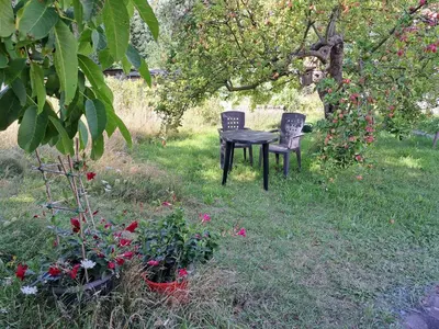 Ein Garten an der Unterkunft Ferienhaus Gransee unmittelbar am Stechlinsee - Radweg