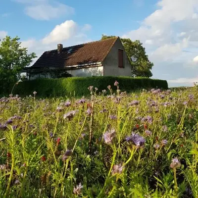 Ferienhaus Gransee unmittelbar am Stechlinsee - Radweg