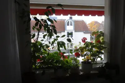 Ein Garten an der Unterkunft Schöne, ruhige Wohnung in Berlin-Steglitz