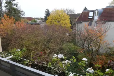 Ein Garten an der Unterkunft Schöne, ruhige Wohnung in Berlin-Steglitz