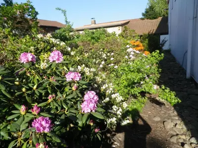 Ein Garten an der Unterkunft Alte Malztenne im Herzen der Schorfheide