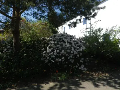 Ein Garten an der Unterkunft Alte Malztenne im Herzen der Schorfheide