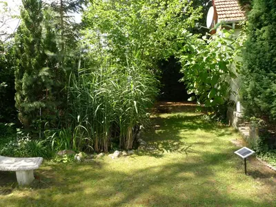 Ein Garten an der Unterkunft gemütliches Gästehaus Berlin Bohnsdorf, nähe Flughafen Schönefeld