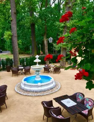 Der Swimmingpool an oder in der Nähe von Hotel Kronprinz