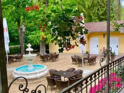 Ein Garten an der Unterkunft Hotel Kronprinz