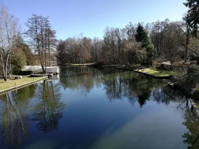 Naturlandschaft in der Nähe der Ferienwohnung