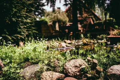 Ein Garten an der Unterkunft Landhotel Classic