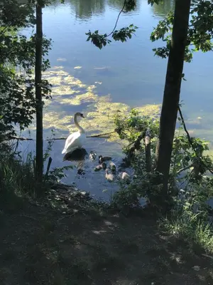 Naturlandschaft in der Nähe der Pension