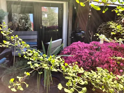 Ein Garten an der Unterkunft Ferienwohnung Fürstenwalde Spree