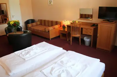 TV/Unterhaltungsangebot in der Unterkunft Hotel Aster an der Messe