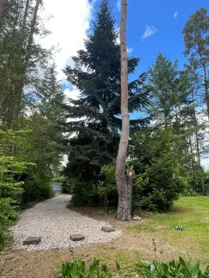 Ein Garten an der Unterkunft Ferienhaus Reetdach 1300qm Privatgrundstück Bootssteg Sauna Templin Lübbesee Uckermark Erholung pur Seenplatte