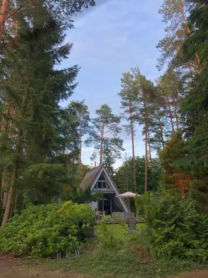 Naturlandschaft in der Nähe des Ferienhauses