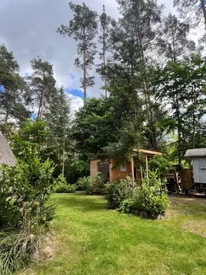 Ein Garten an der Unterkunft Ferienhaus Reetdach 1300qm Privatgrundstück Bootssteg Sauna Templin Lübbesee Uckermark Erholung pur Seenplatte