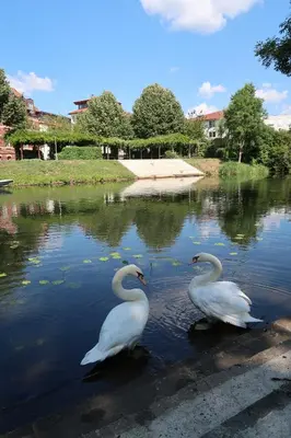 Naturlandschaft in der Nähe des Hotels