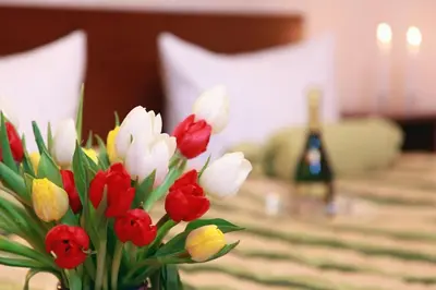 Grundriss der Unterkunft Hotel Central Inn am Hauptbahnhof Pension