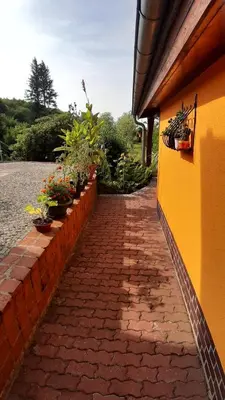 Ein Garten an der Unterkunft Remise am Zemminsee