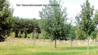 Naturlandschaft in der Nähe des Hotels