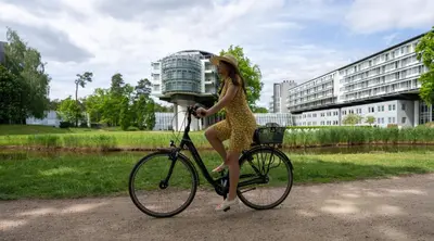 Radfahren an der Unterkunft Kongresshotel Potsdam am Templiner See oder in der Nähe